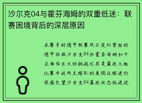 沙尔克04与霍芬海姆的双重低迷：联赛困境背后的深层原因