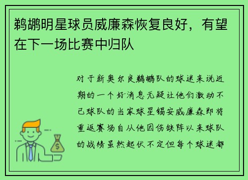 鹈鹕明星球员威廉森恢复良好，有望在下一场比赛中归队